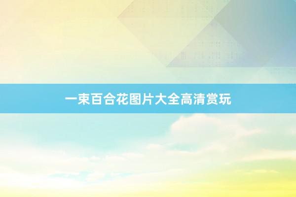 一束百合花图片大全高清赏玩