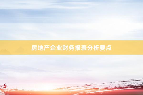 房地产企业财务报表分析要点