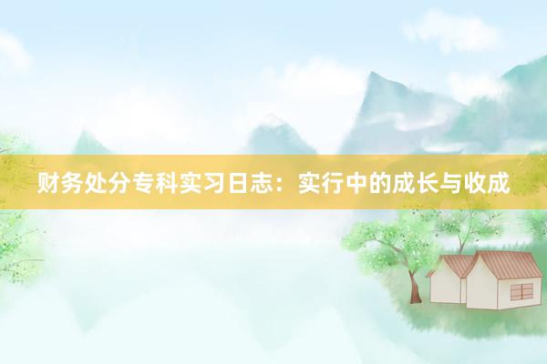财务处分专科实习日志:实行中的成长与收成